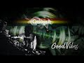 Caloosh Good Vibes Jungle Dubwise Raggajungle Dnb DJ Mix 2020