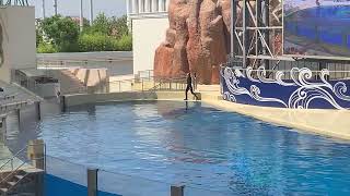 Rixos Premium Belek - The Land Of Legends