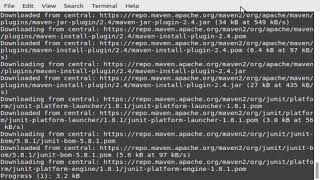 Testing {{ java maven failsafe junit5 }} sieve segment cli