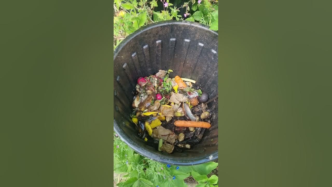 To stop vermin rats🐀mice put veg scraps into a drilled bin till they go