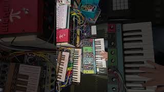 experimental synth sounds for sampling #infn8loop #synth crazy unique sounds #synthdiy