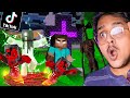 Testing SCARY TIKTOK HACKS in MINECRAFT !!