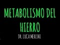 Metabolismo del Hierro