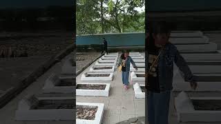 Download Lagu Monumen Rawagede MP3