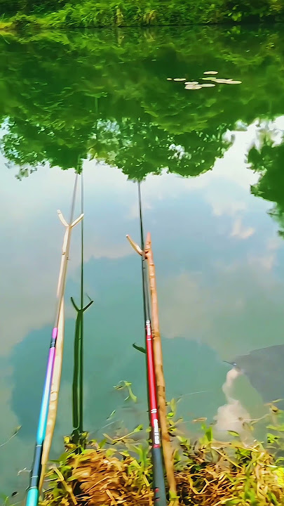 TETAP TENANG DI ERA SULIT #mancing #fishing #nila #ikan #fyp #sound #vibes #fypシ゚viral