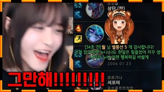김레인의 어지러운 벡스리뷰