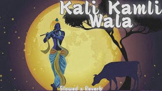 Kaali Kamli Wala - Slowed x Reverb • Chitra Vichitra Ji Maharaj Slowed And Reverb Song