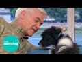 Phillip Falls in Love With Rescue Puppy & Gets Distracted | This Morning