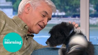 Phillip Falls in Love With Rescue Puppy & Gets Distracted | This Morning
