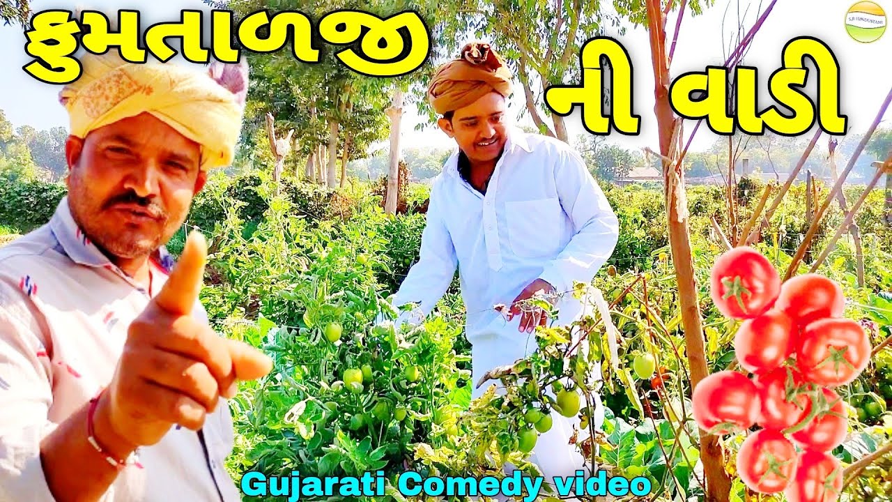 ફુમતાળજી ની ટોમેટાની વાડી//Gujarati Comedy Video//કોમેડી વિડીયો SB HINDUSTANI