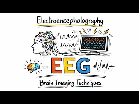 Electroencephalography Explained (EEG Scan) | Brain Imagining Techniques