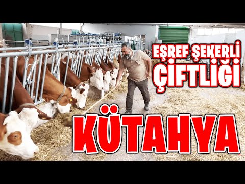 EŞREF ŞEKERLİ KÜTAHYA ÇİFTLİĞİ