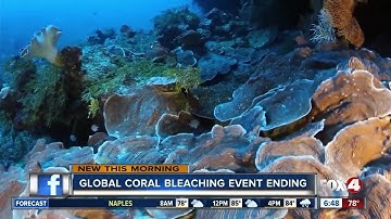 3-year global coral bleaching event over