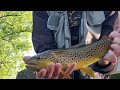Fishing for wild brown trout with a Pins Minnow