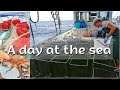 Asinara || Fishing tourism - one day experience | ENG/RUS subtitles