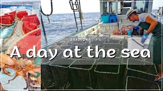 Asinara || Fishing tourism - one day experience | ENG/RUS subtitles