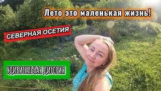 картинка: Часть 5. Водопад БАЙРАДИ. Северная Осетия. Дигорское ущелье.