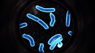 Evolution's Gaping Hole