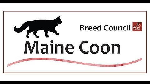 MCO standard - Webinar by FIFe MCO BC