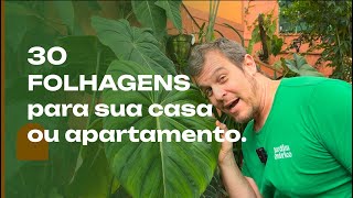 30 FOLHAGENS para DENTRO DE CASA: plantas para todos os GOSTOS e BOLSOS.