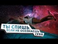 Как устроено мышление человека. Ты спишь, если не осознаешь себя! НЛП тренинг.