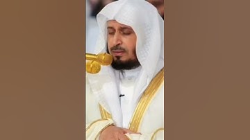 سورة النساء بصوت الشيخ سعد الغامدي