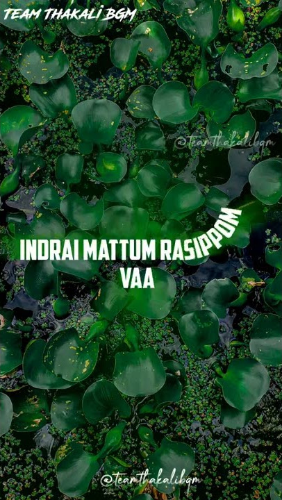 saga kalai viduthu malai urangaum valkai marapom | Whats app status | Team Thakali BGM