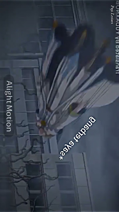 Kerandoman Leosar dan Ian (aib) || JJ Shinbi house