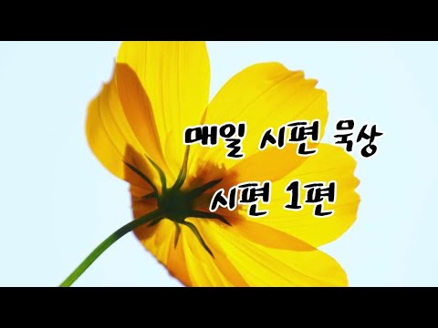 매일 시편 묵상: 시편 1편   #시편묵상