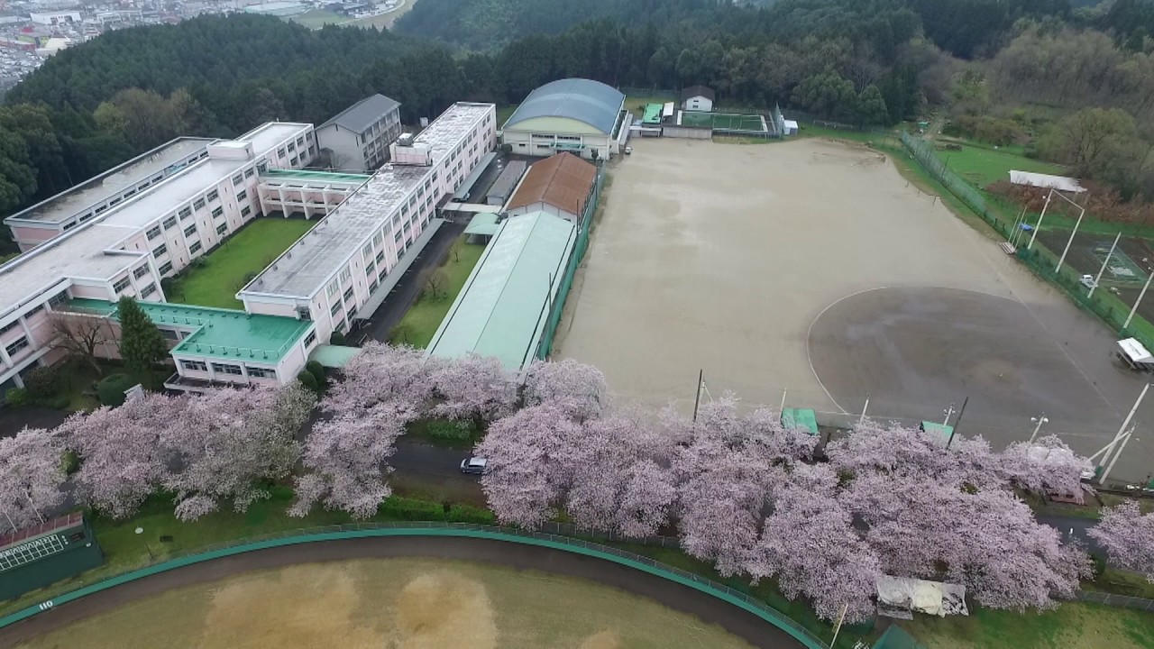 三隈高校の桜並木満開 学校の依頼で撮影 Youtube