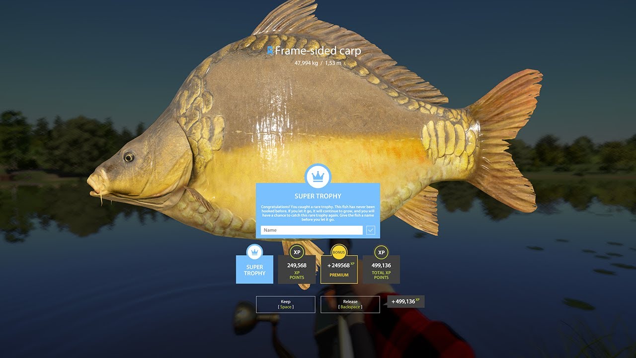 Russian Fishing 4 - Frame-sided carp 47,994kg