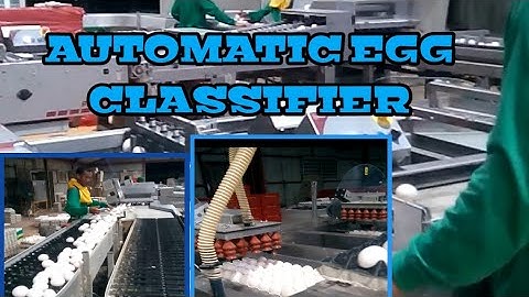 AUTOMATIC EGG CLASSIFIER MACHINE | KASIPATER VLOG TV