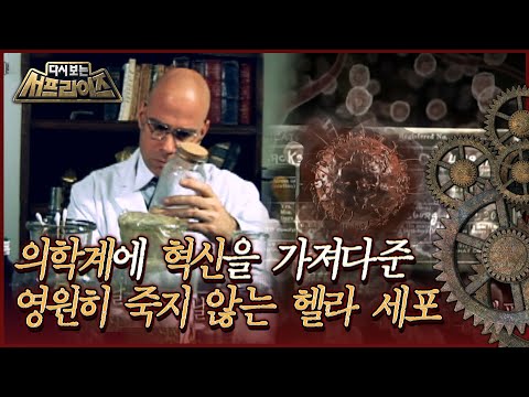 [다시보는 서프라이즈] 의학계에 혁신을 가져다준 영원히 죽지 않는 <strong>헬라</strong> <strong>세포</strong> MBC111009
