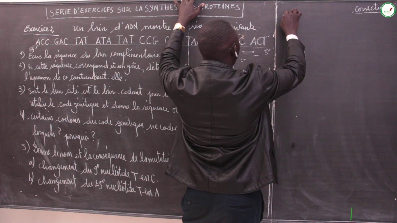 Exercices - Première S - SVT : La synthèse des protéines / Suite 2 / M. Beye