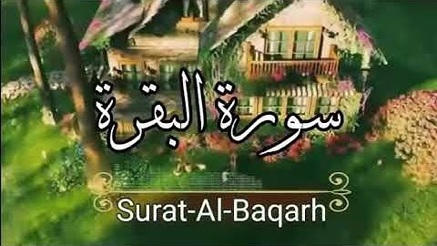 #ما تيسر من سورة البقرة للقارئ | عبدالرحمن مسعد