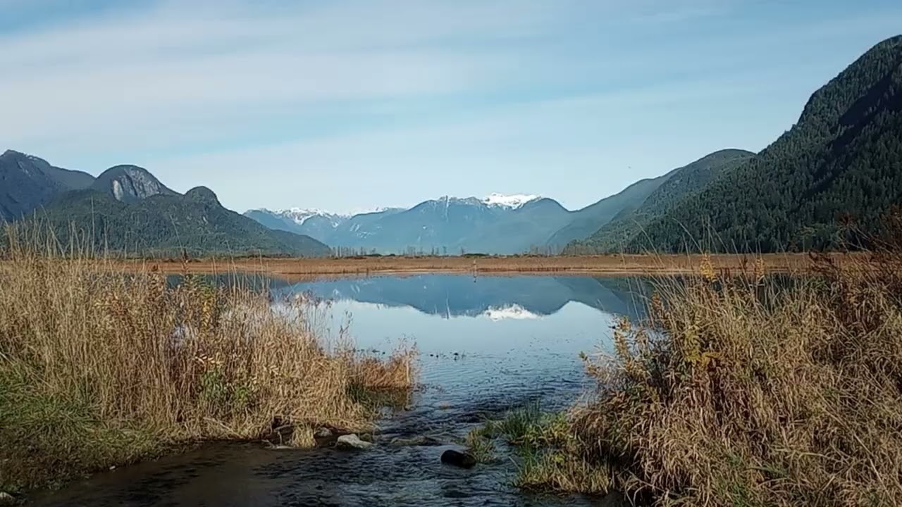 22 Minutes of Peaceful Pitt Meadows Marsh, Relaxing Meditative Music for Calm & Focus
