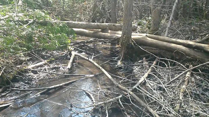 Brydson Creek - video 3. Heading sout to hidden quarry