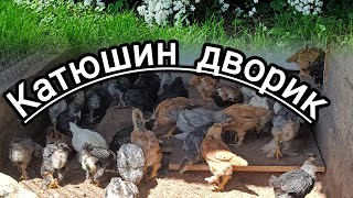 25# а у нас опять 🐣🐥#мой сад#