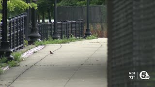 'I thought I was gonna die:' Woman strangled by stranger on Towpath Trail in Akron