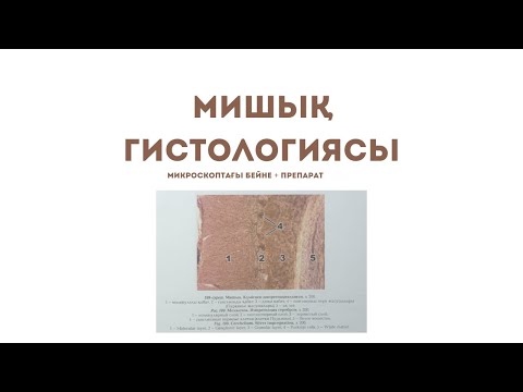 Жаңа интимдік бейне Волгоградтық порно қыздар