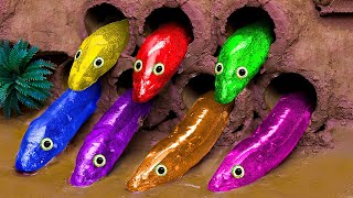 Stop Motion Cooking ASMR  무지개 악어, 오리 새끼 Satisfying Catfish Carp Fishing Pink Eel | 재미있는 스톱 모션 만화