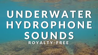 FREE Underwater Sound Effects | Ambient ASF2 MK2 Hydrophone Sounds | Download Ocean Sounds