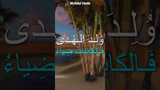 Wulidal Huda -ولد الهدى#islam #prophet #love#birth