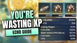 Stop Wasting Echo XP | Level Echoes the RIGHT Way in Wuthering Waves