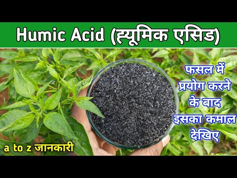 Humic acid use in hindi || ह्यूमिक एसिड  के बारे में