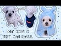 KOREA HAUL | Dog Clothes Try-On Haul ft. COCO