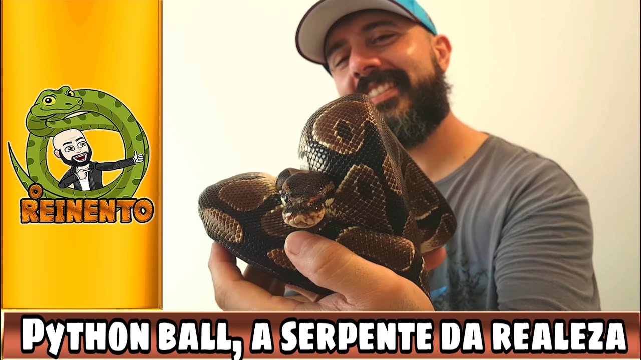 camera iphone 8 plus apk Python ball: A serpente da realeza
