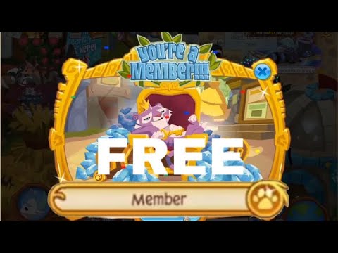 Como chegar livre adesão em AnimalJam