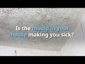 Mould and Condensation Removal Ireland