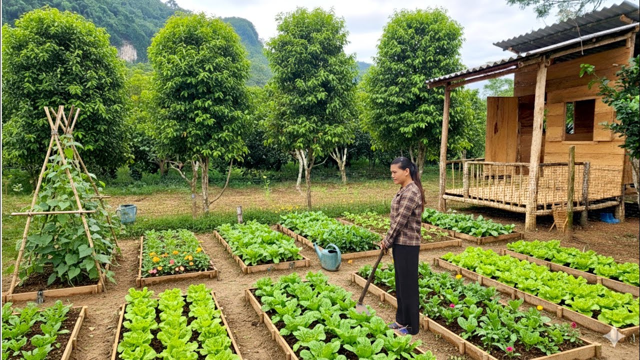 Благодаря своему удивительному таланту Элли превратила пустошь в прекрасную ферму.